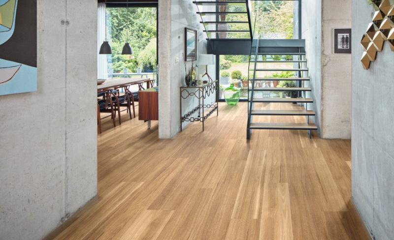 LLP317-Lemon-Spotted-Gum-Hallway-LS1-CM