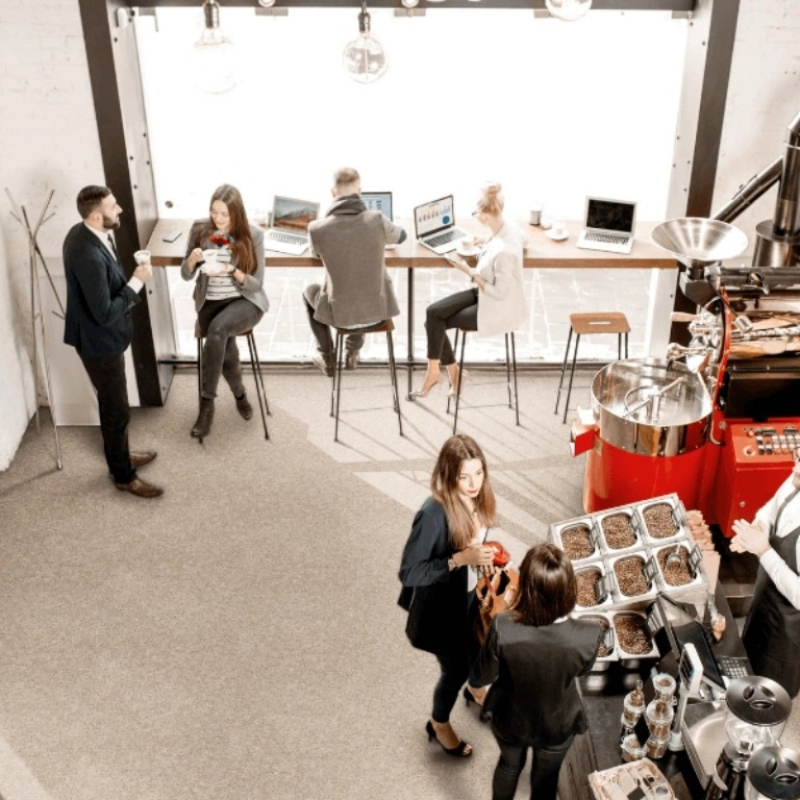 heterogeniczne-fatra-standard-virgo